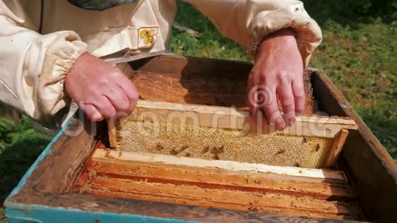 养蜂人用蜂箱里装满蜜蜂的蜂窝取出并保持细胞视频的预览图