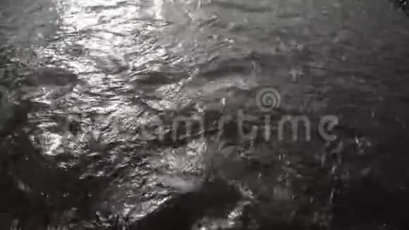 喀尔巴阡村的河流和晨雾视频的预览图