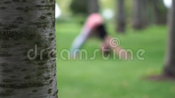 灵活的年轻女孩在美丽的荒郊野外慢动作做瑜伽视频的预览图