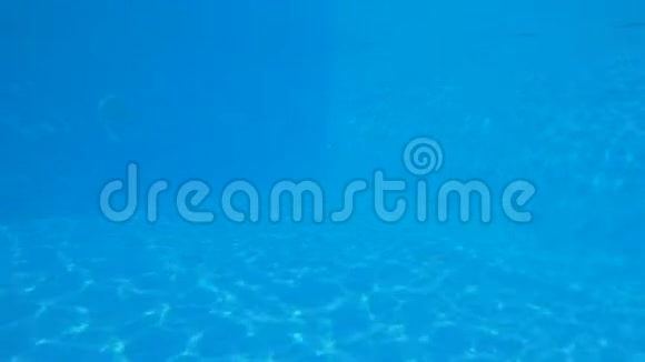 在游泳池里苗条美丽的女朋友美丽的身体跳水在清澈的蓝色池边在水下游泳视频的预览图