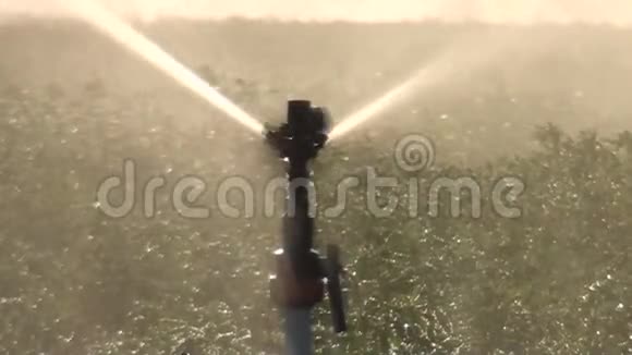 农业喷头正在草地上工作近距离射击视频的预览图