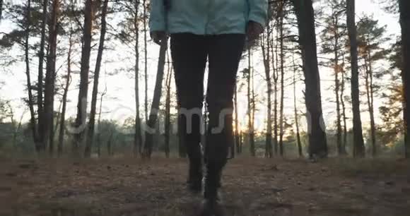 孤独的白种人深色头发的女旅行者带着一个大的旅游背包在秋天的松树林日落时散步在森林中行走的女性视频的预览图