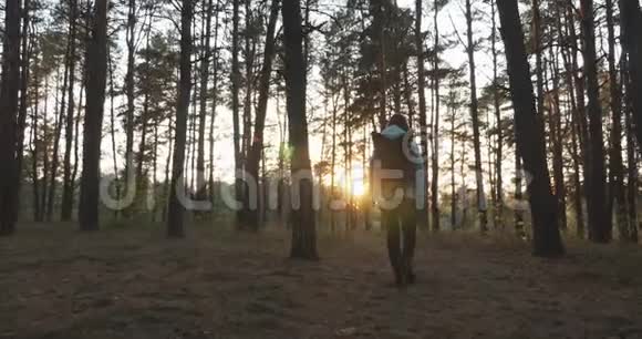 迷人的年轻女性旅行者与黑色大旅游背包徒步在秋天松树森林日落秋天走的女人视频的预览图
