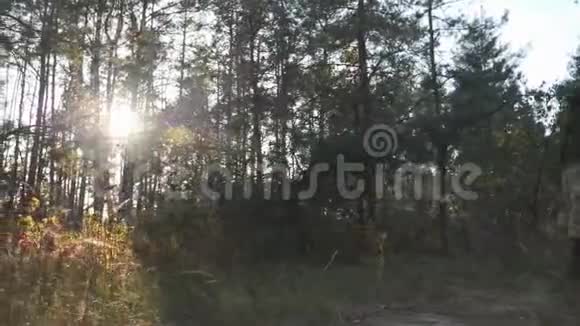 秋天温暖的一天孤独浪漫的黑发女人在森林里散步阳光穿过森林的叶子视频的预览图