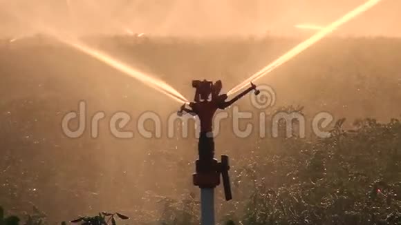 灌溉喷淋系统正在现场工作快关门农业活动视频的预览图