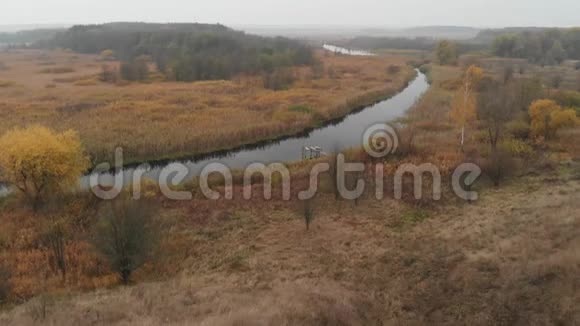 飞越秋景河流和沼泽乌克兰视频的预览图