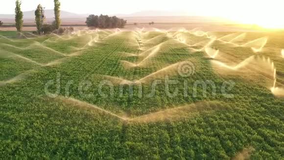 灌溉系统在田间工作洒水系统空中观景动作缓慢视频的预览图