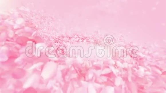 粉红玫瑰花瓣流动的背景视频的预览图