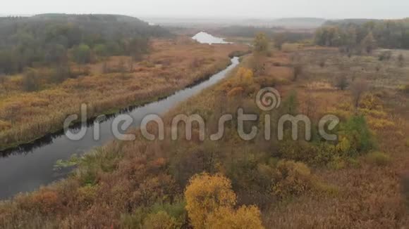 飞越秋景河流和沼泽乌克兰视频的预览图