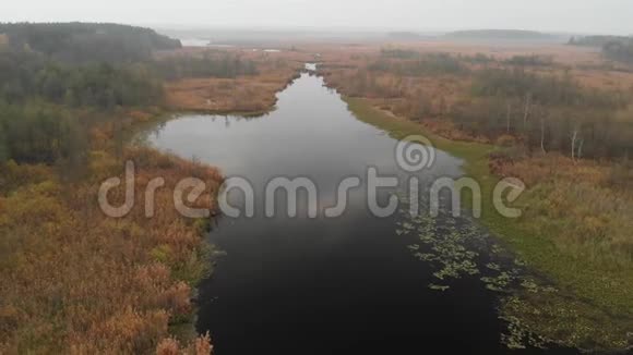 飞越河流秋天的河流天空反射乌克兰视频的预览图