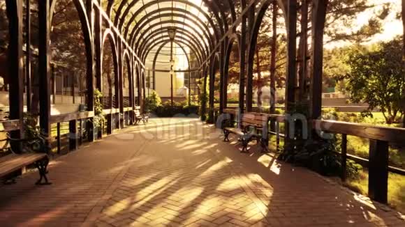 木质牌坊隧道和温暖的阳光视频的预览图