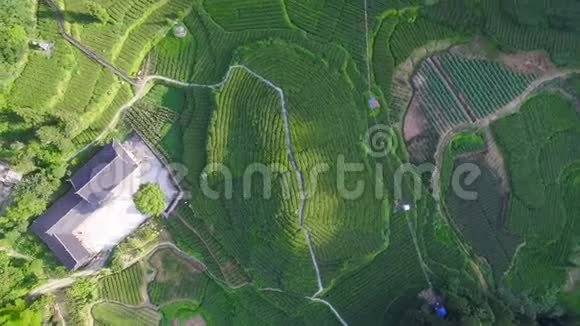 中国湖北茶园和村庄的鸟瞰图视频的预览图