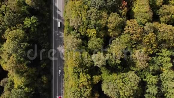 空中天桥在高速公路上空的彩色森林之间车辆在路上行驶秋天是旅行和放松的美好时光视频的预览图