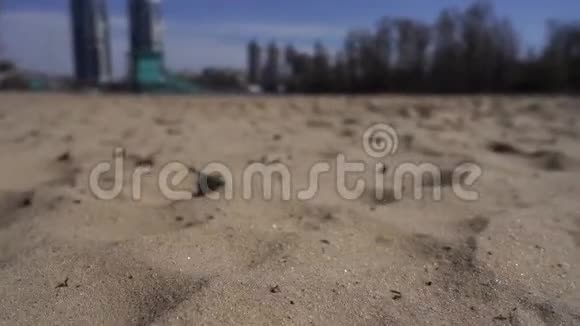 在沙滩上缓慢移动视频的预览图