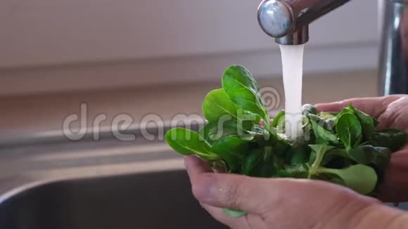 老年女性洗手新鲜迷你菠菜视频的预览图