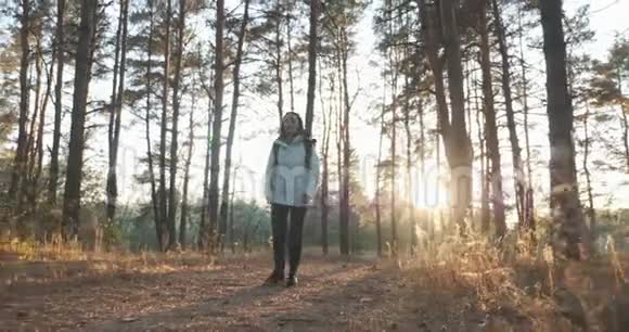 快乐的黑发女旅行者穿着夹克带着大旅游背包在阳光明媚的温暖的日子在秋天的森林里散步太阳的光芒视频的预览图
