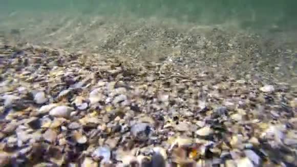 海底有贝壳和波浪视频的预览图