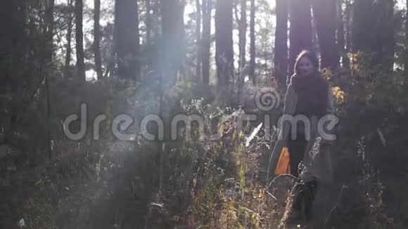 日出时穿着外套和温暖围巾在森林里散步的年轻有魅力的时髦女人布吕内的女性走过秋天的树林视频的预览图