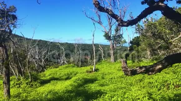 纳帕利海岸国家荒野公园考艾夏威夷太平洋夏威夷岛地球上的天堂波里哈莱州公园卡拉拉视频的预览图