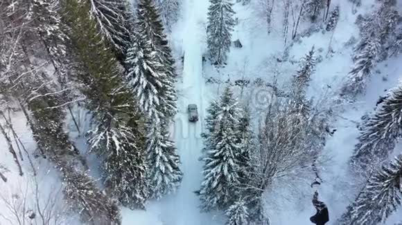在神奇的冬季森林中骑在雪道上的孤独汽车的鸟瞰图视频的预览图