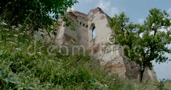 森林中的老城堡废墟视频的预览图