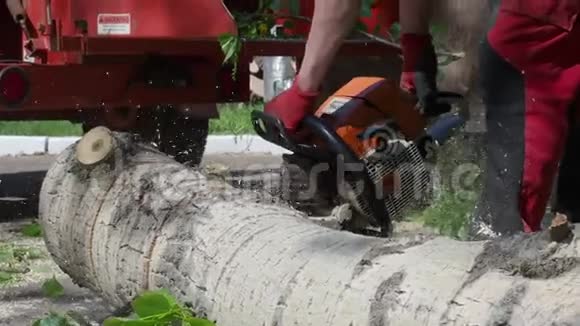工业工人用电锯锯了树干关门视频的预览图