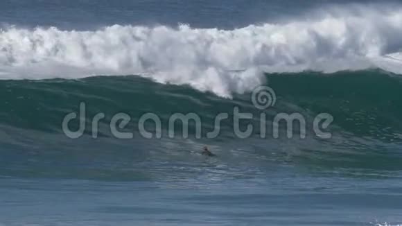 冲浪者带着巨浪返回加州视频的预览图