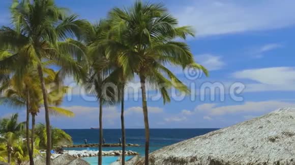 海岸线上绿椰子棕榈树令人惊叹的天空白云和无尽的天际线库拉索岛视频的预览图