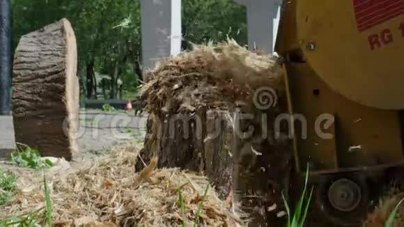 工业木材碎纸机砍倒树桩视频的预览图