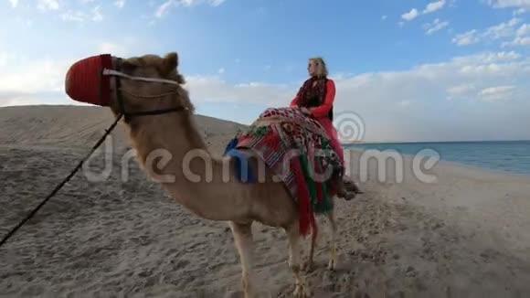 与女人一起骑骆驼视频的预览图