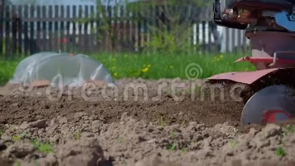 一个工人用一个耕种者耕种土地种植蔬菜视频的预览图