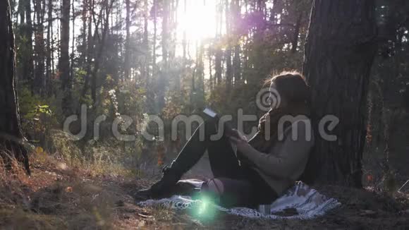 平静的年轻白种人女性旅行者穿着舒适的衣服坐在秋天的森林里日出时看书快乐的女人视频的预览图