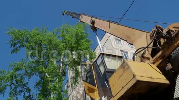 夏季在城市用起重机作业过程中的植树造林者视频的预览图