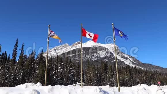 班夫和库特奈国家公园佛米利翁山口艾伯塔省不列颠哥伦比亚省加拿大的大陆分界线视频的预览图