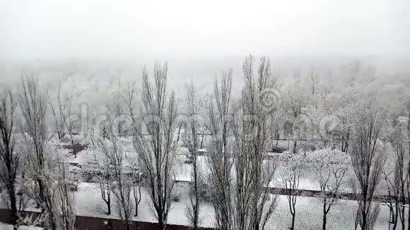 在一个美丽的城市公园里冬天飘落的白雪和白树时间流逝视频的预览图