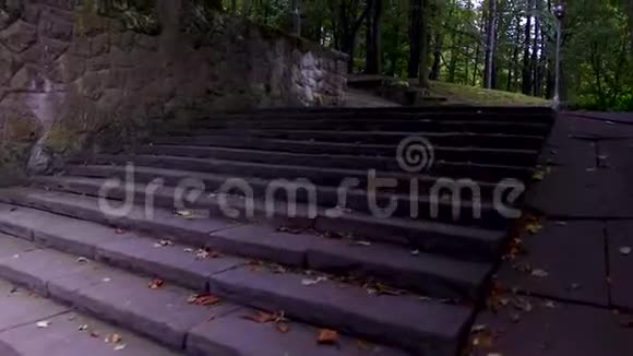 公园里的老苔藓楼梯升步走视频的预览图