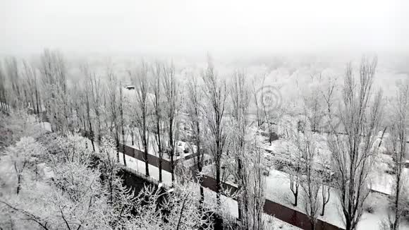 秋天的雪冬天的白树和美丽的城市公园里的公路时间流逝视频的预览图