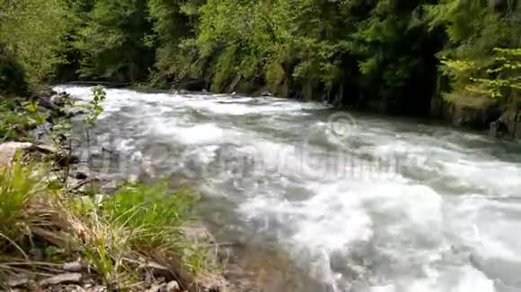 阳光明媚的一天湍急的山河在巨石之间流淌冰冷的山水在石头之间流淌视频的预览图