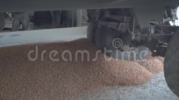 一辆卡车在卸货时把车轮碾过一堆玉米农业和资源概念视频的预览图