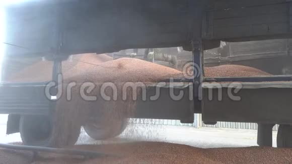 从卡车拖车上卸下玉米粒和工厂里的大量灰尘农业和资源概念视频的预览图