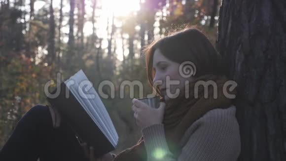 迷人的黑发女人旅行者喝热饮料从热水杯阅读书籍怀旧在秋天森林公园在阳光视频的预览图