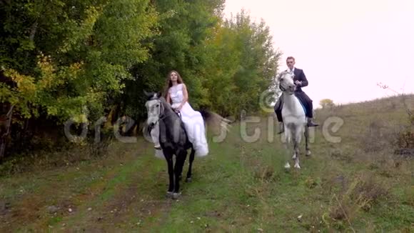 刚刚结婚的新郎新娘微笑着骑着两匹马视频的预览图