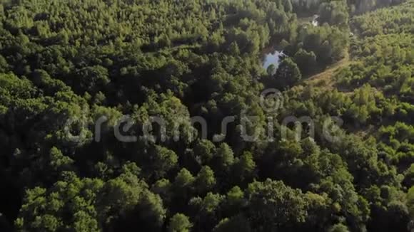 绿色森林上方的空中平滑天桥湖延伸到绿树之间非城市景观形成鸟瞰视频的预览图