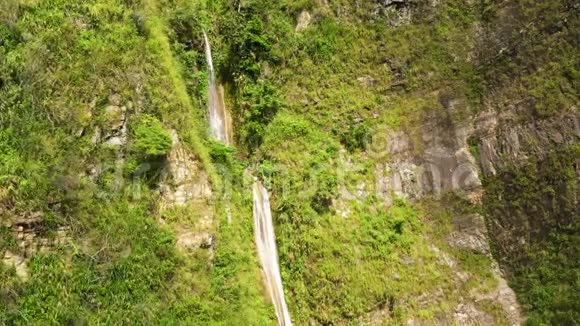 有瀑布的高崖丛林中悬崖上的一条小溪视频的预览图