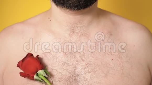 长胡子的人胸前举着红玫瑰情人节2月14日第一次约会的概念慢动作并关闭视频的预览图