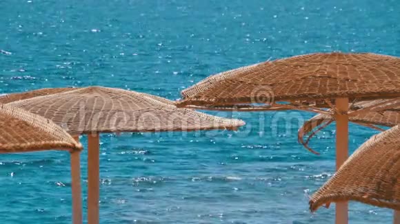 埃及空海滩上大海背景的雨伞视频的预览图