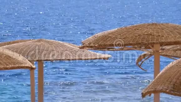 在红海的背景下带着雨伞的空旷海滩视频的预览图