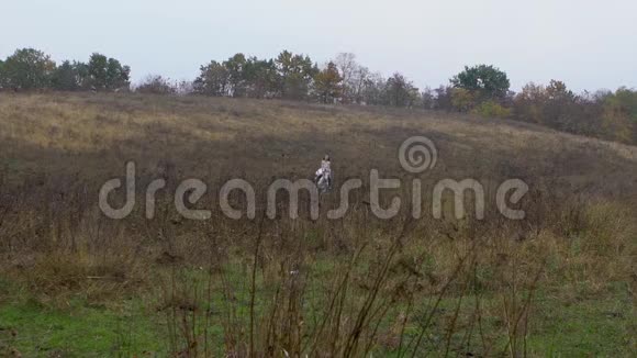 披着白色礼服的长发女士骑着奔腾的骏马穿过草地视频的预览图