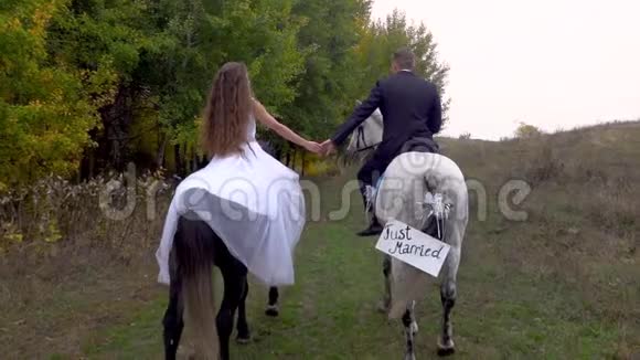 刚结婚的新娘和新郎女孩和男人骑两匹马后景关门视频的预览图