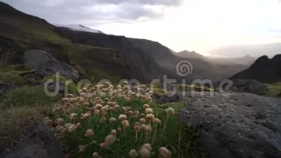 峡谷和山峰在戏剧性和丰富多彩的日落在Fimvorduhals徒步旅行小径附近的托尔斯莫克视频的预览图